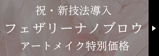 祝・新技法導入 フェザリーナノブロウ 柴田モニター割